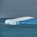 iceBERG