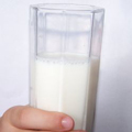 Dairy
