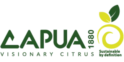 Capua